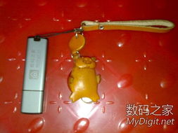 數字產品技術交流 構建開發者生態的關鍵平臺